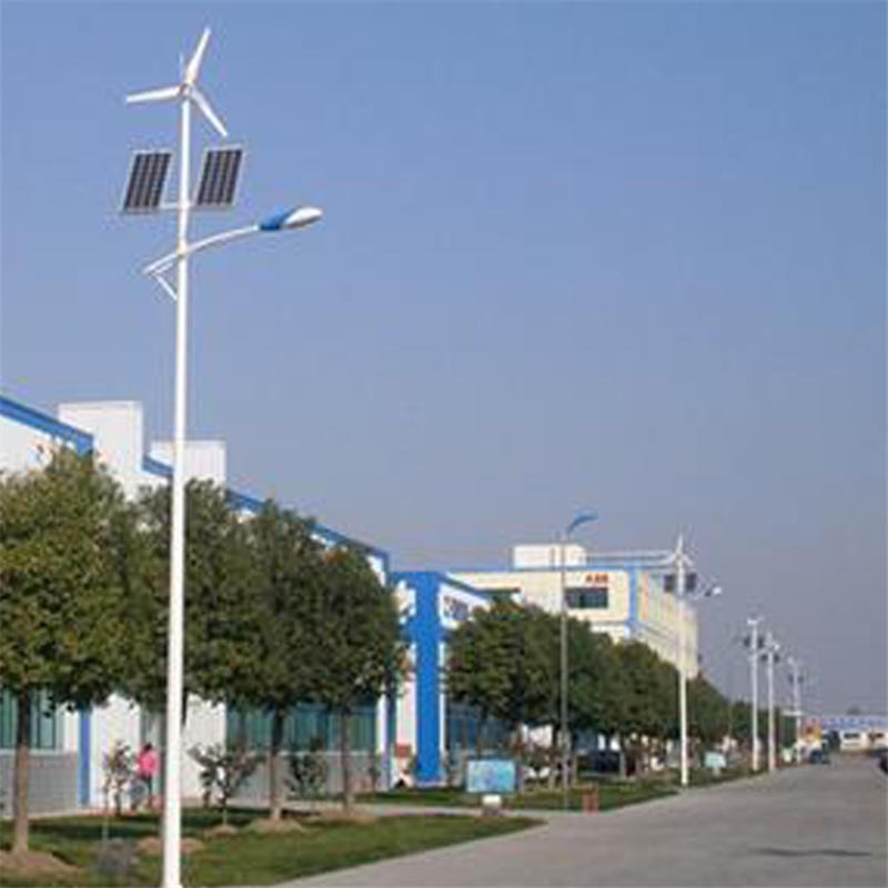 益阳民族风6米7米8米路灯供应 勤跃生产旅游区LEd路灯照明图片