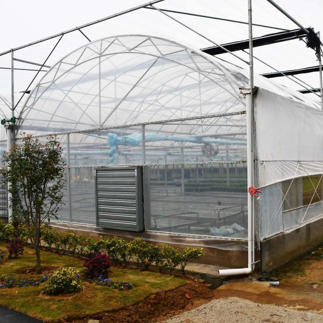 承建玻璃大棚温室 智能温室无土栽培温室可出口 鑫泽文洛型结构温室建设