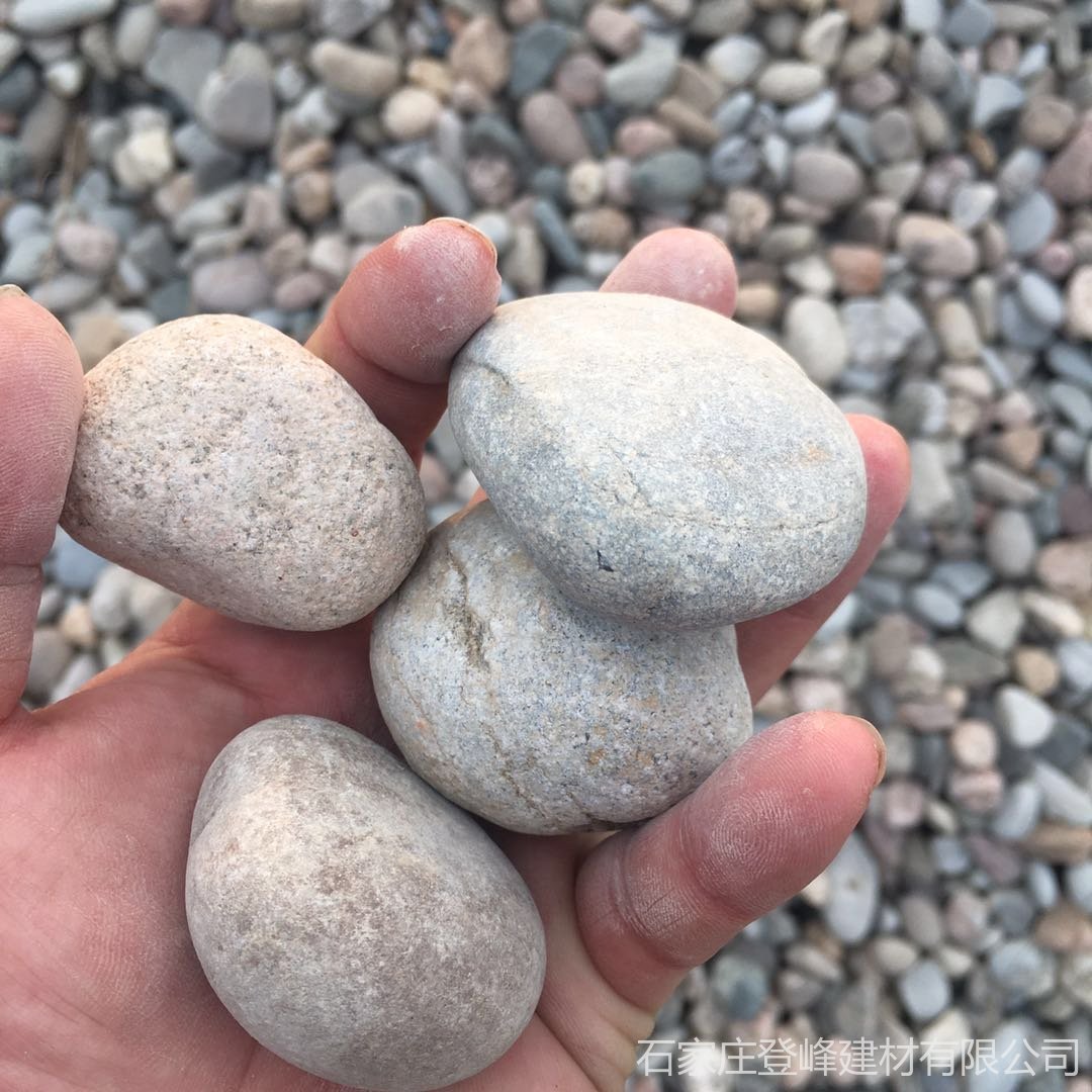 上海厂家供应  精品鹅卵石  工程绿化鹅卵石  浮石卵石  货源充足