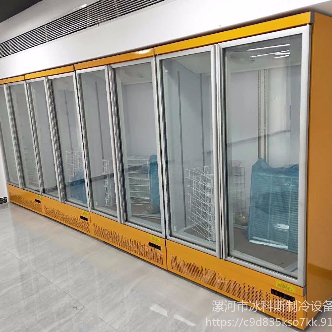 无锡饮料柜厂家 饮料柜尺寸   酒水饮料冷藏柜 未来雪冷柜 WLX-YLG94