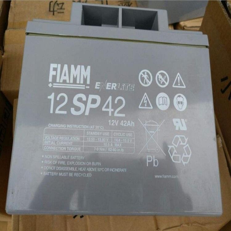 武汉非凡蓄电池12SP42 铅酸免维护储能应急电池 非凡12V42AH参考报价