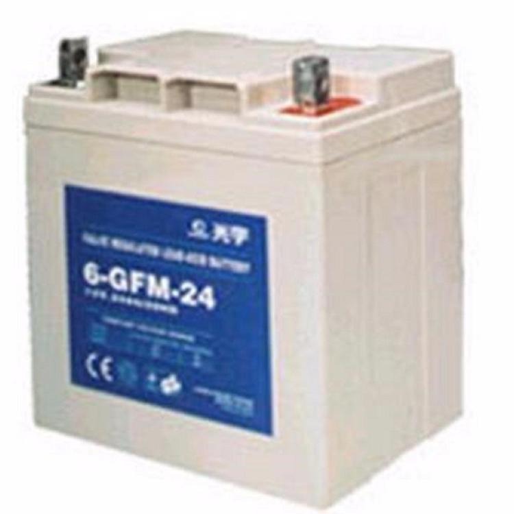 光宇蓄电池6-GFM-24 光宇12V24AH免维护蓄电池 直流屏UPS/EPS电源专用 参数及价格