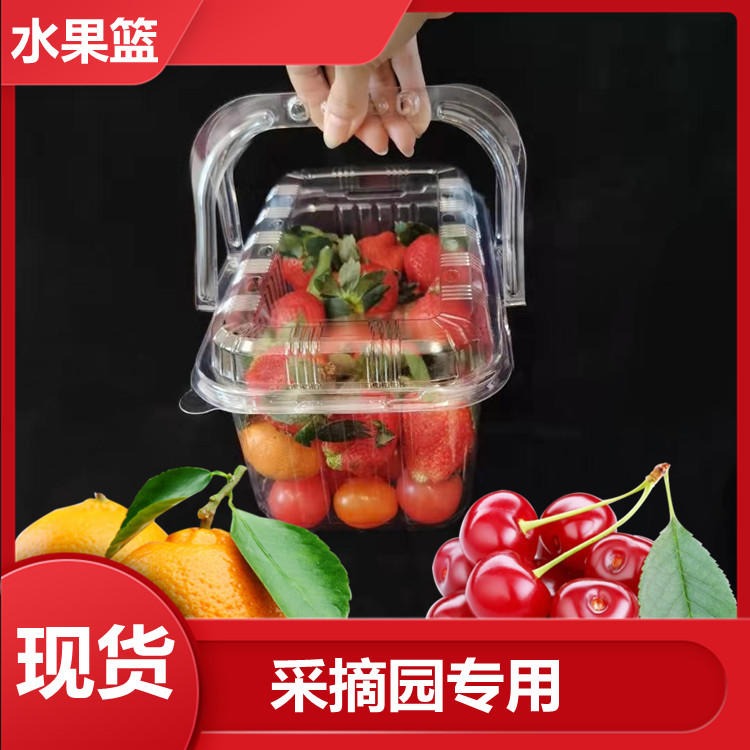 一次性透明塑料水果采摘篮 手提带盖草莓篮方形杨梅篮子葡萄篮子现货图片