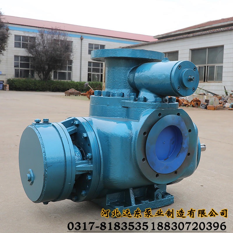河北远东泵业 W5.1ZK-65Z1M1W73  双螺杆泵  用于输送差别化粘胶短纤维泵 机械密封图片