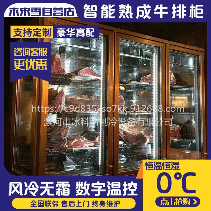 冰科斯-BKS-WLX-NR012-定制和牛菲力熟成柜  冰鲜湿式排酸展示柜  定制安格斯西冷牛排柜 烤肉展示柜