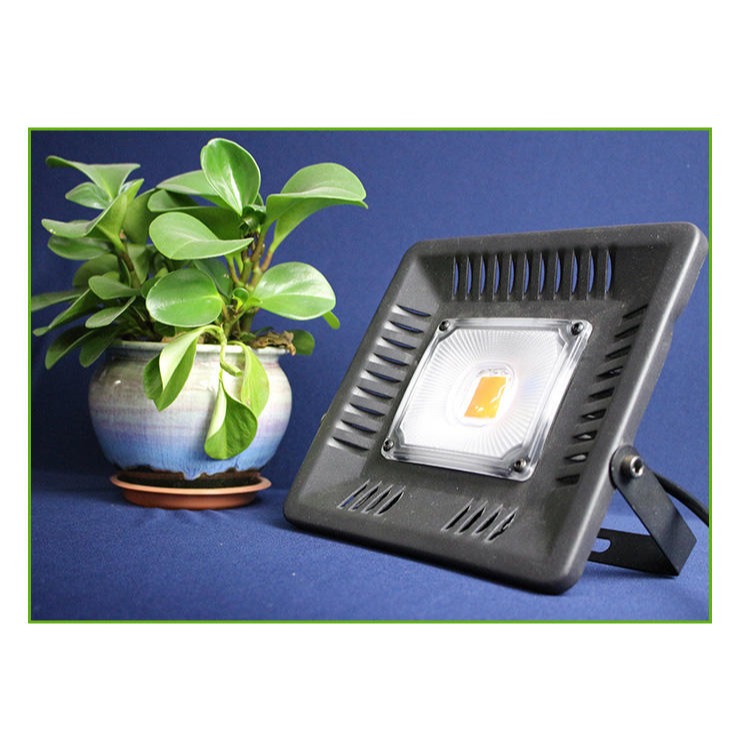 LED植物灯 江苏LED投光灯厂家 50W线性LED补光灯 广告投射泛光灯 防水植物生长灯 北极光能源图片