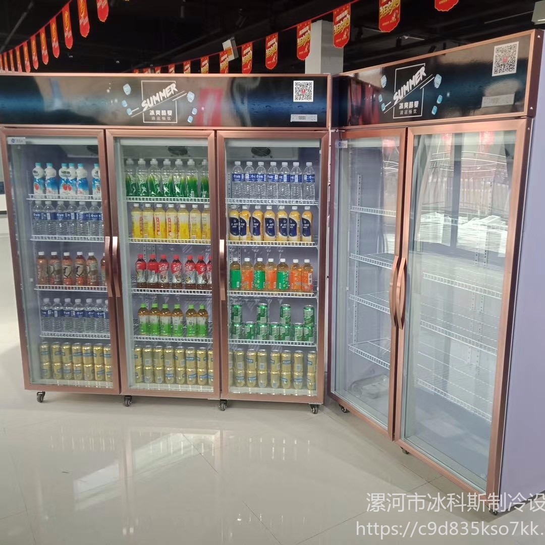 展示柜 双门保鲜柜  超市饮料柜  工厂直供 未来雪冷柜 WLX-YLG106