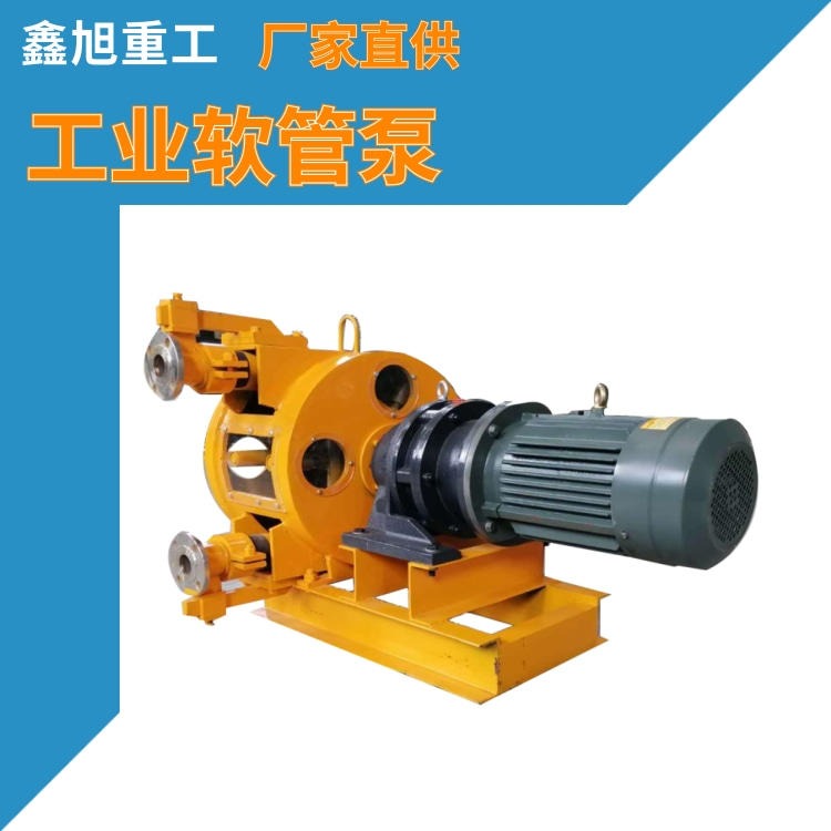 销售RGB新型挤压泵软管蠕动泵厂家 鑫旭重工输送速度快品种多图片