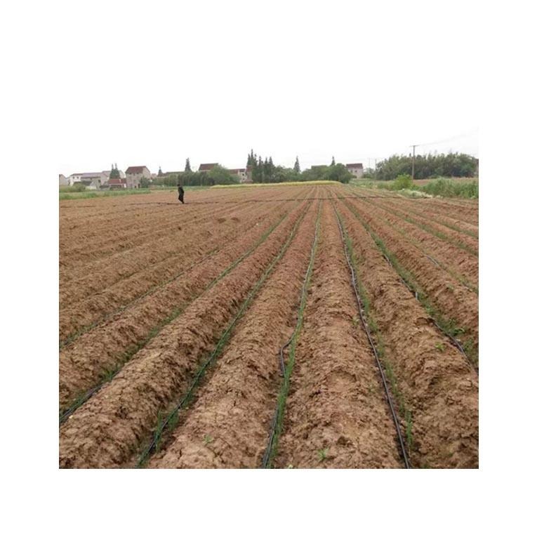 大田葱姜蒜地面水肥一体化滴灌系统一亩造价预算