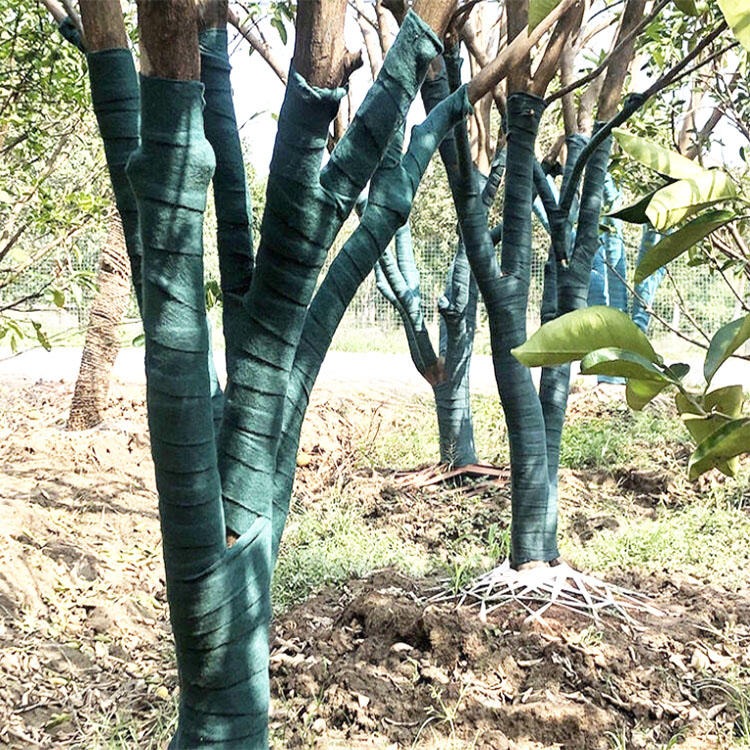 户外植物加厚包树带 果树加厚绿色裹树布 黑绿双层包树布 一匡货源充足