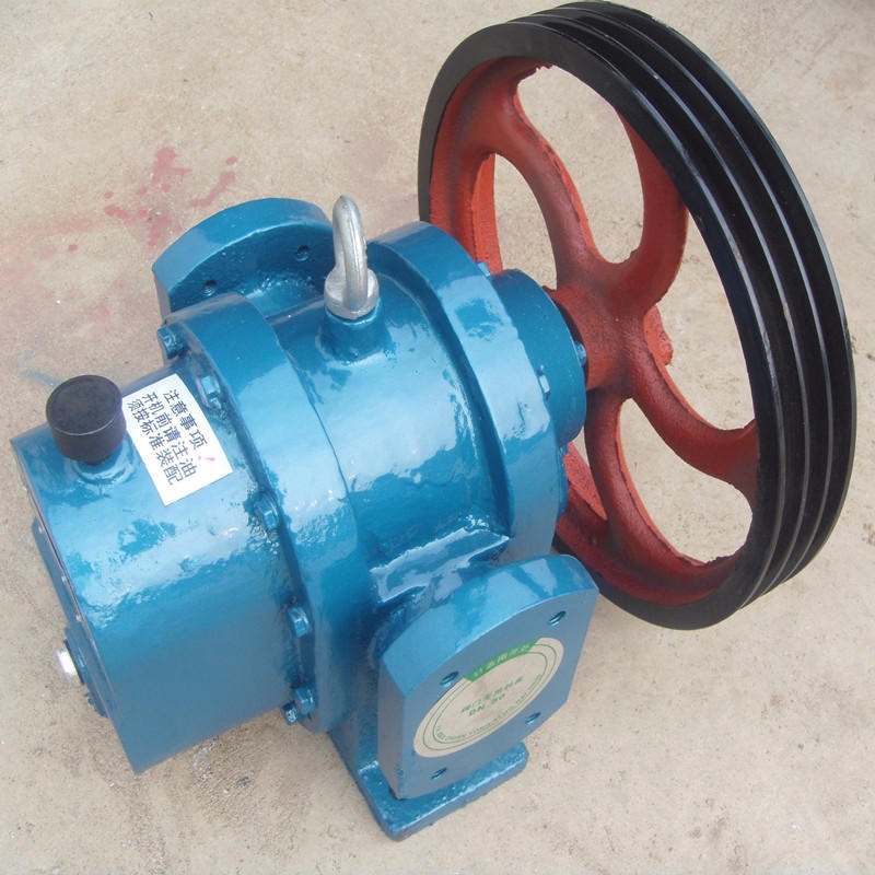 高粘度转子泵 甘油 沥青输送泵 可直联 配皮带轮连接 LC38 飞越泵业图片