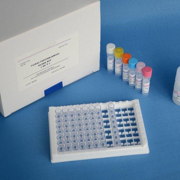 人β2微球蛋白试剂盒 BMG试剂盒 β2微球蛋白ELISA试剂盒 厂家直销