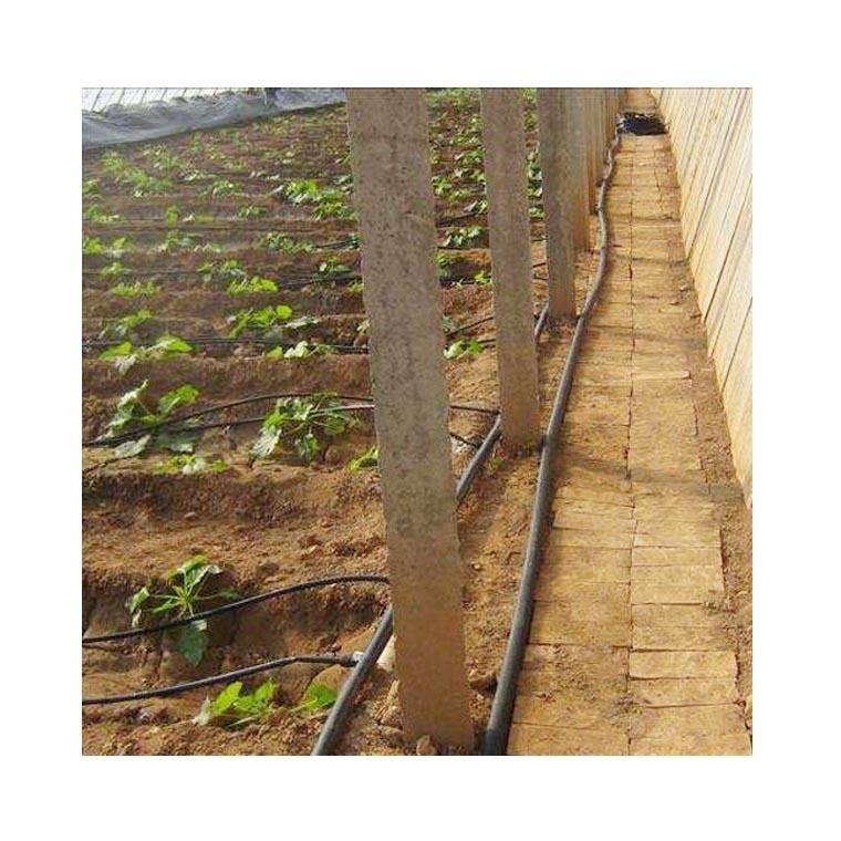 温室大棚蔬菜滴灌管商家 蔬菜滴灌水管及滴灌配件 以色列蔬菜滴灌管图片