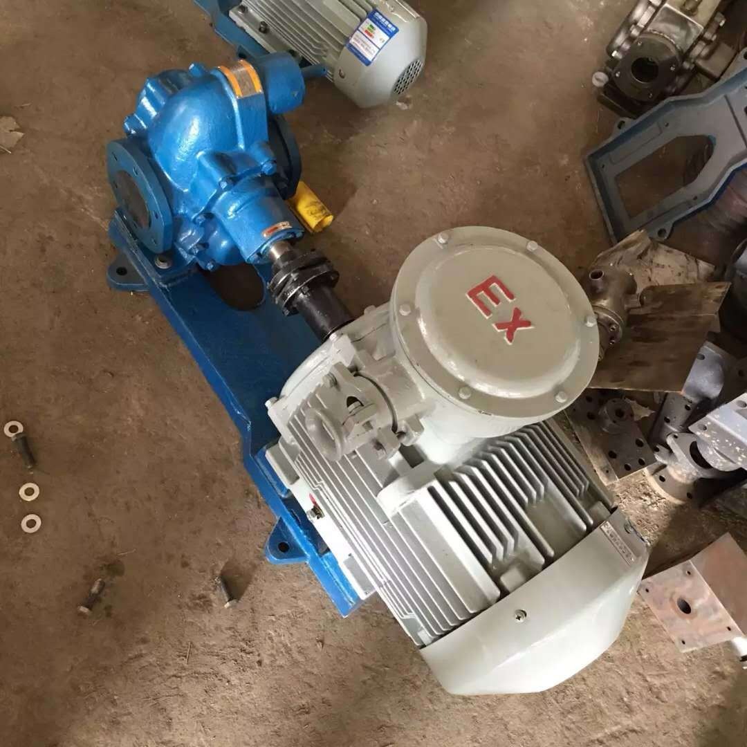 齿轮泵 鸿海泵业 2CY齿轮泵 保温高压齿轮泵 质保一年