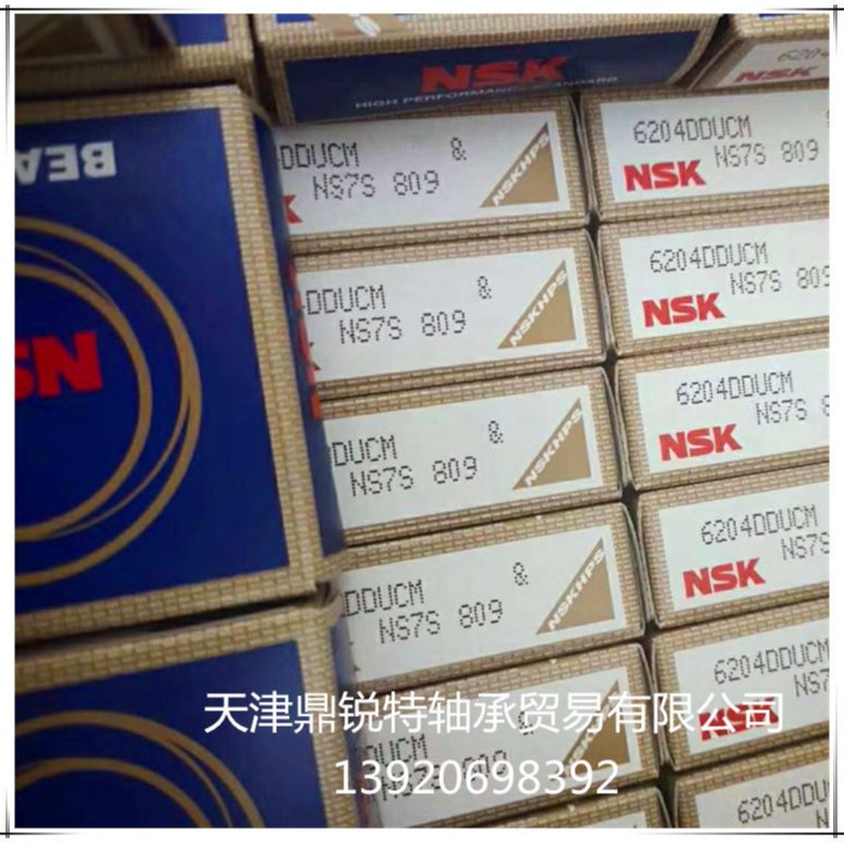 NSK轴承 进口轴承 6204DDUCM 原装日本NSK进口轴承 NSK深沟球高转速轴承 代理价格直销