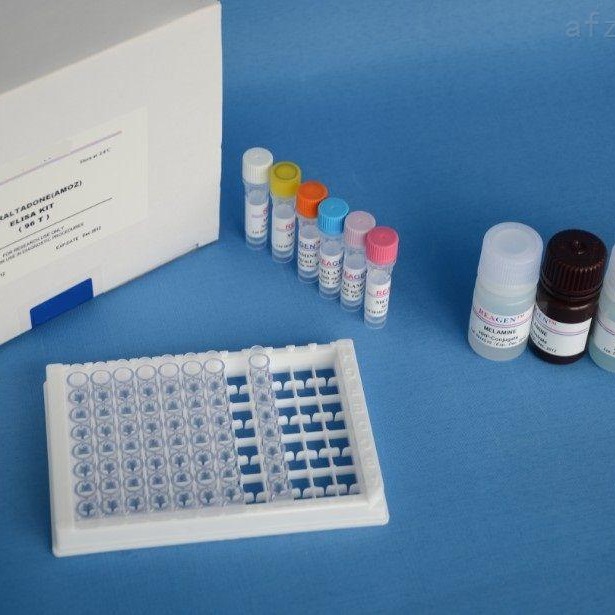 人抗人绒毛膜促性腺激抗体(AhCGAb)ELISA试剂盒 AhCGAb试剂盒 48T 96T