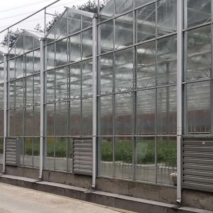 青州鑫泽农业 智能温室大棚 智能玻璃温室大棚 玻璃智能温室造价