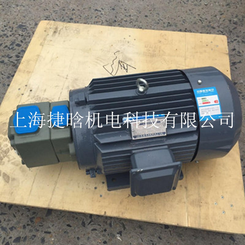 油泵电机 YYB-160L-6 卧式三相异步电动机 内插式油压马达
