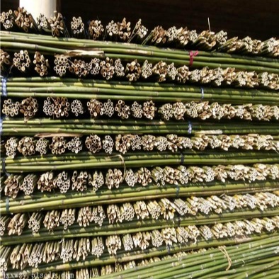 京西竹业  厂家直销大量供应 2020年山地苹果项目专用4米小竹竿