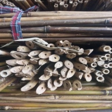 京西竹业  厂家批发各类果树支撑竹杆