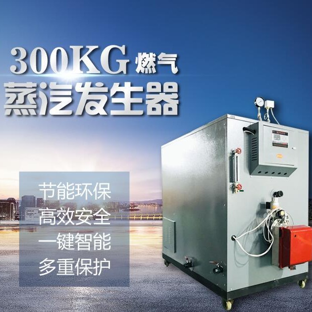 食品，化工用300KG公斤燃气蒸汽发生器