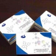 人抗子宫内膜抗体ELISA试剂盒 EMAb试剂盒 抗子宫内膜抗体试剂盒 美国RB试剂盒