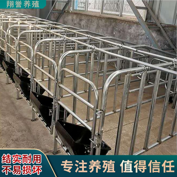 养猪设备母猪定位栏 复合板母猪产床限位栏 猪用保育床 支持定做翔誉