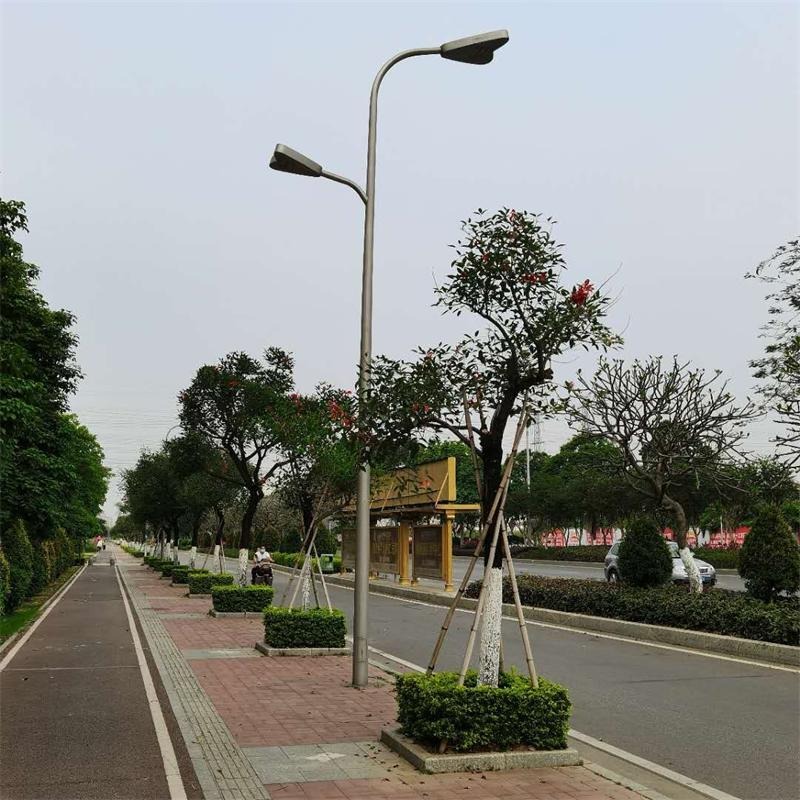 鑫永虹8米城市道路双臂市电LED路灯 高速路高杆道路灯