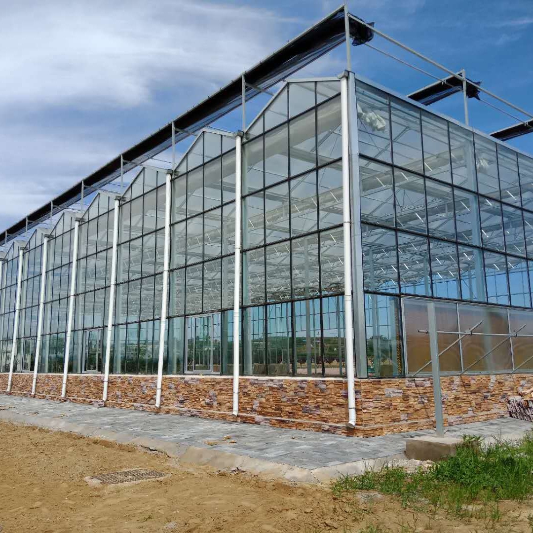 农业玻璃温室 盆景玻璃大棚 生态玻璃温室大棚 博伟