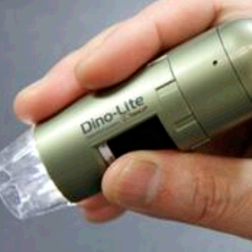 AM4111T数码显微镜USB台湾Dino-lite 手持式电子数码显微镜原装进口价格优惠