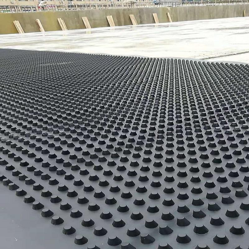 绿标建材 排水板厂家  塑料排水板 HDPE塑料凸片 凸点排水板 排水板价格