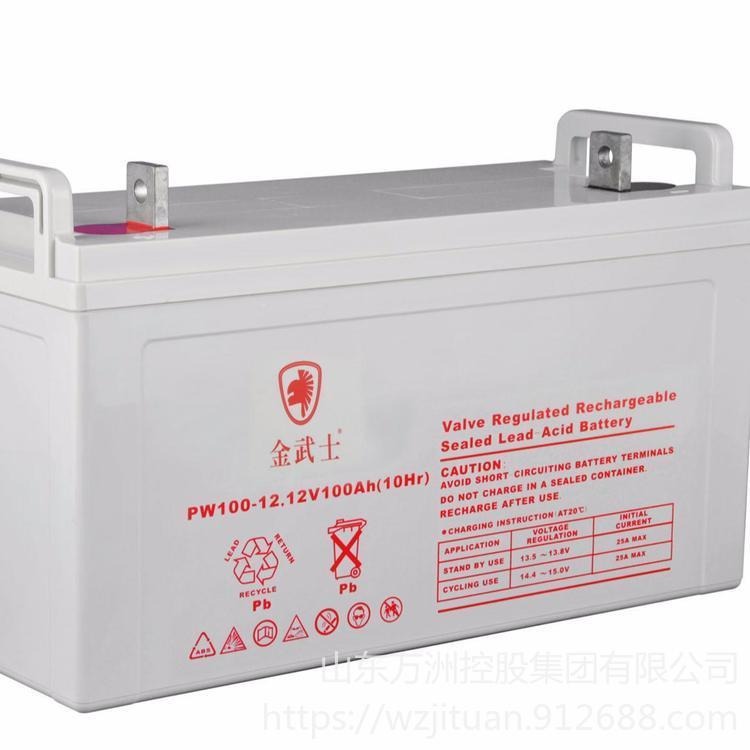 金武士蓄电池PW100-12 铅酸免维护蓄电池12V100AH 直流屏电源配套蓄电池 量大从优