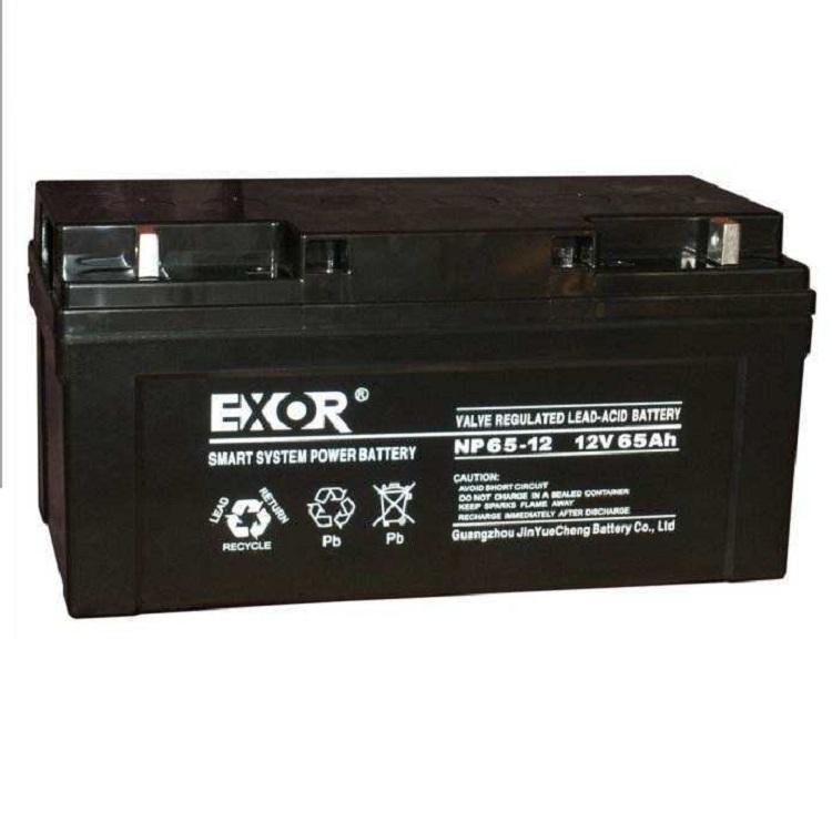 铅酸免维护埃索EXOR蓄电池NP100-12 12V100AH 直流屏UPS/EPS不间断电源埃索电池示例图1