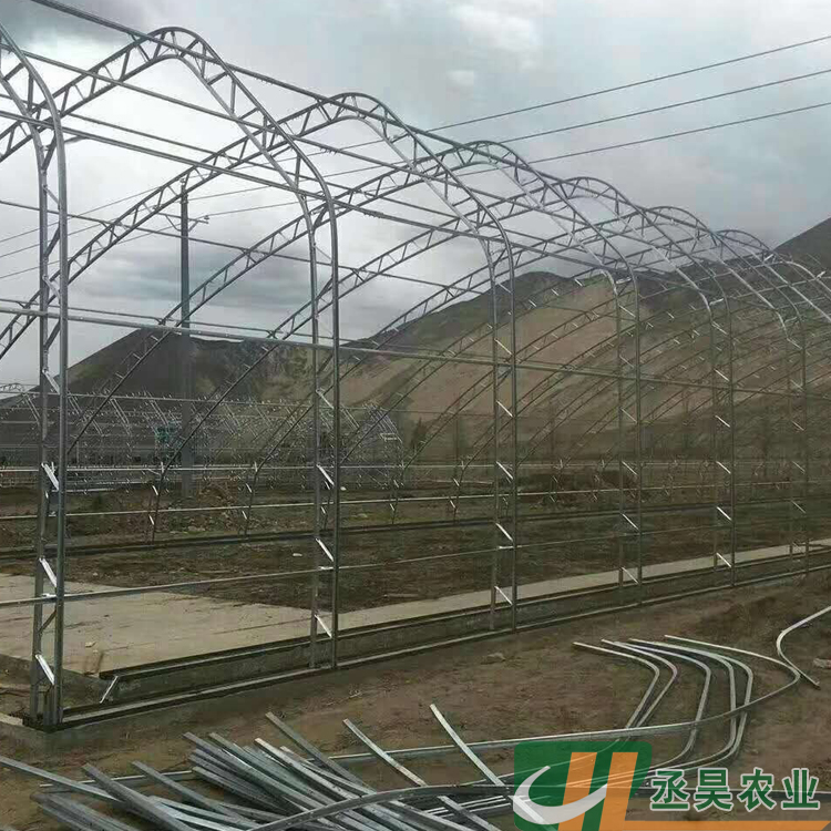 丞昊农业供应 拉萨 葡萄种植 C型钢温室 专业设计
