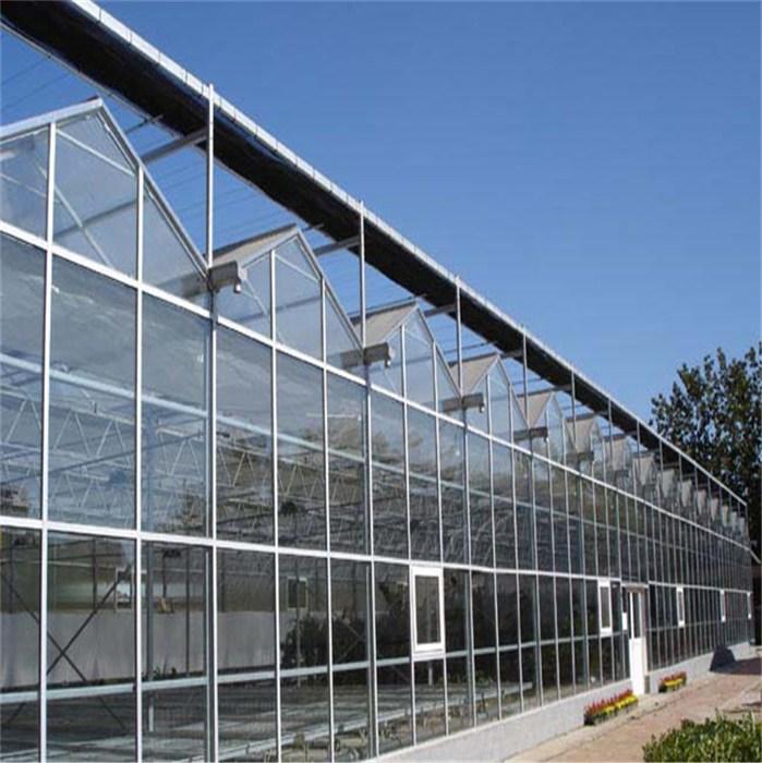 2020新品玻璃温室 采光瓦大棚 青州玻璃温室 型号可定制