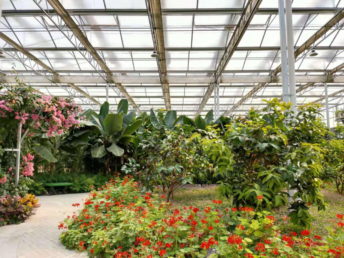 鑫泽种植玻璃温室厂家 花卉玻璃温室 建设玻璃温室大棚 人性化设计